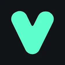 VAPI logo